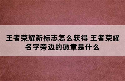 王者荣耀新标志怎么获得 王者荣耀名字旁边的徽章是什么